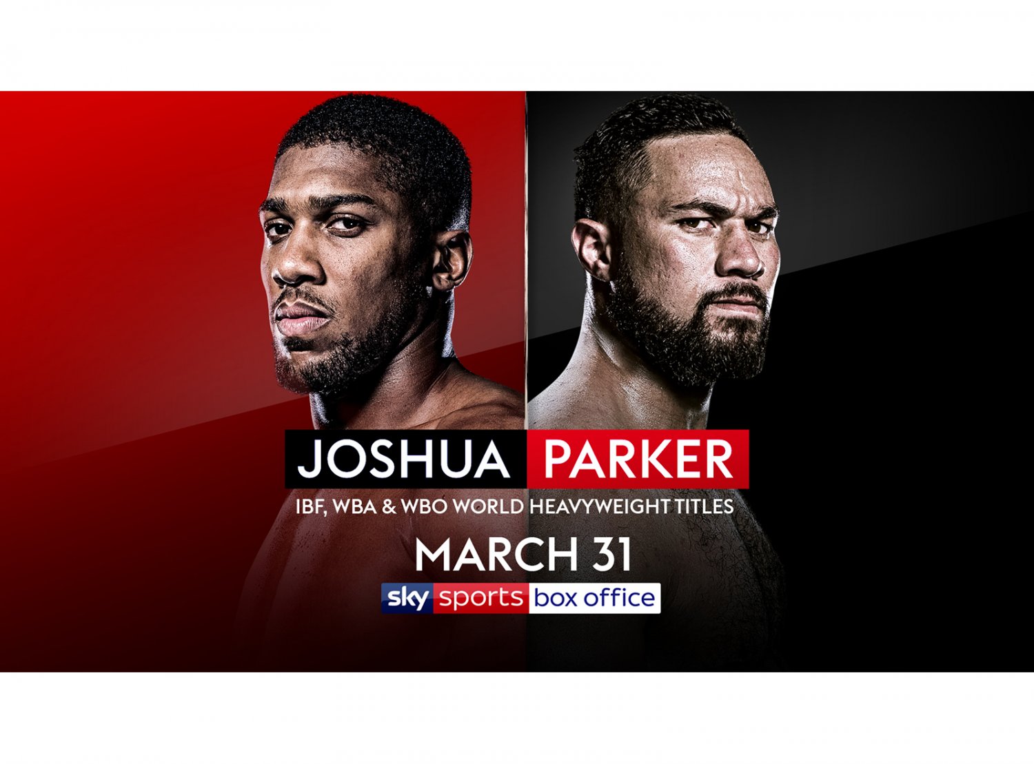 Joshua v  Parker